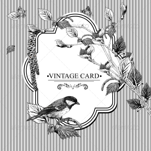 GraphicRiver Vintage Card with Birch Twigs and Bird Tit 7734391 GraphicRiver Vintage Card with Birch Twigs and Bird Tit 7734391