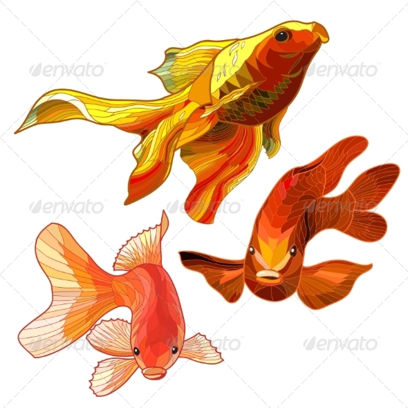 GraphicRiver Set of Gold Fish 7752465 GraphicRiver Set of Gold Fish 7752465