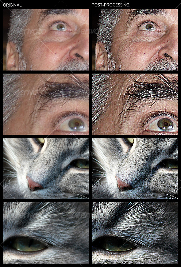 Gritty Action Set - Photo Effects Actions