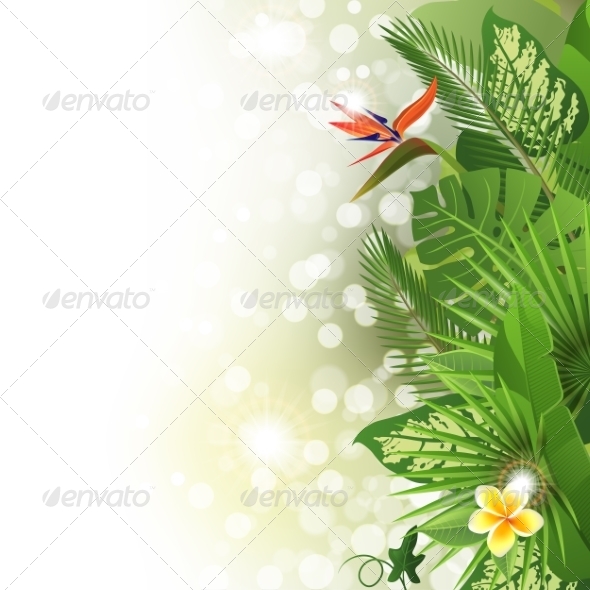 GraphicRiver Tropical Background 7796310 GraphicRiver Tropical Background 7796310