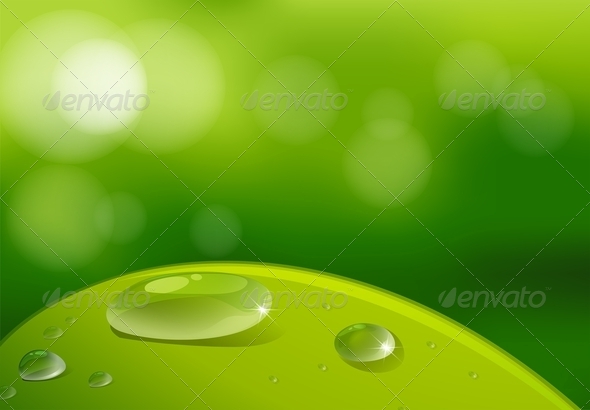 GraphicRiver A Leaf with Waterdrops 7839731 GraphicRiver A Leaf with Waterdrops 7839731