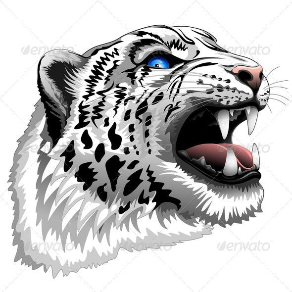 GraphicRiver Snow Leopard Roar 7841634 GraphicRiver Snow Leopard Roar 7841634