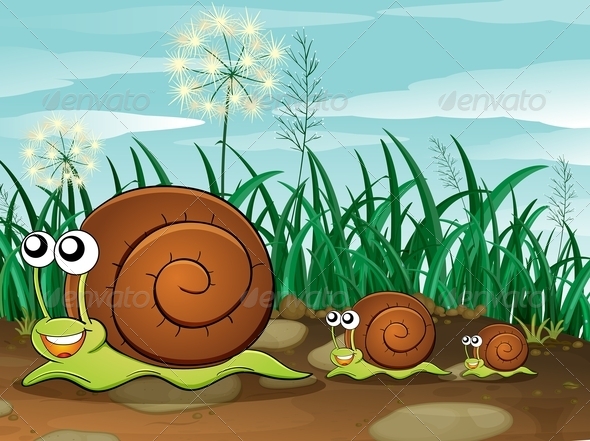 GraphicRiver Three Snails 7852584 GraphicRiver Three Snails 7852584