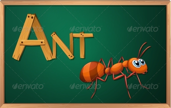 GraphicRiver Blackboard with Ant 7853480 GraphicRiver Blackboard with Ant 7853480