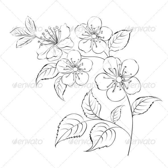 GraphicRiver Spring Cherry Blossom Sakura 7861719 GraphicRiver Spring Cherry Blossom Sakura 7861719