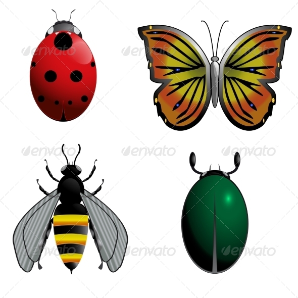 GraphicRiver Insect Set 7867600 GraphicRiver Insect Set 7867600