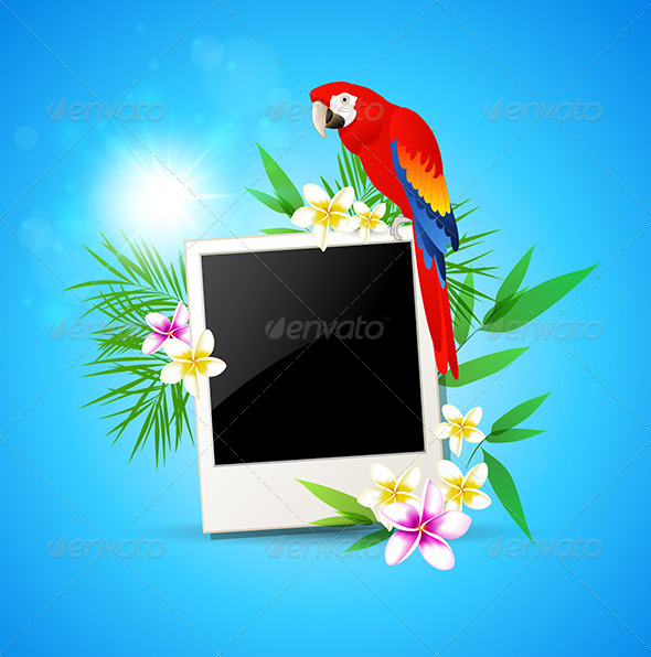GraphicRiver Background with Red Parrot and Photo 7880868 GraphicRiver Background with Red Parrot and Photo 7880868