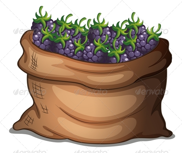 GraphicRiver Sack of fresh blackberries 7891887 GraphicRiver Sack of fresh blackberries 7891887
