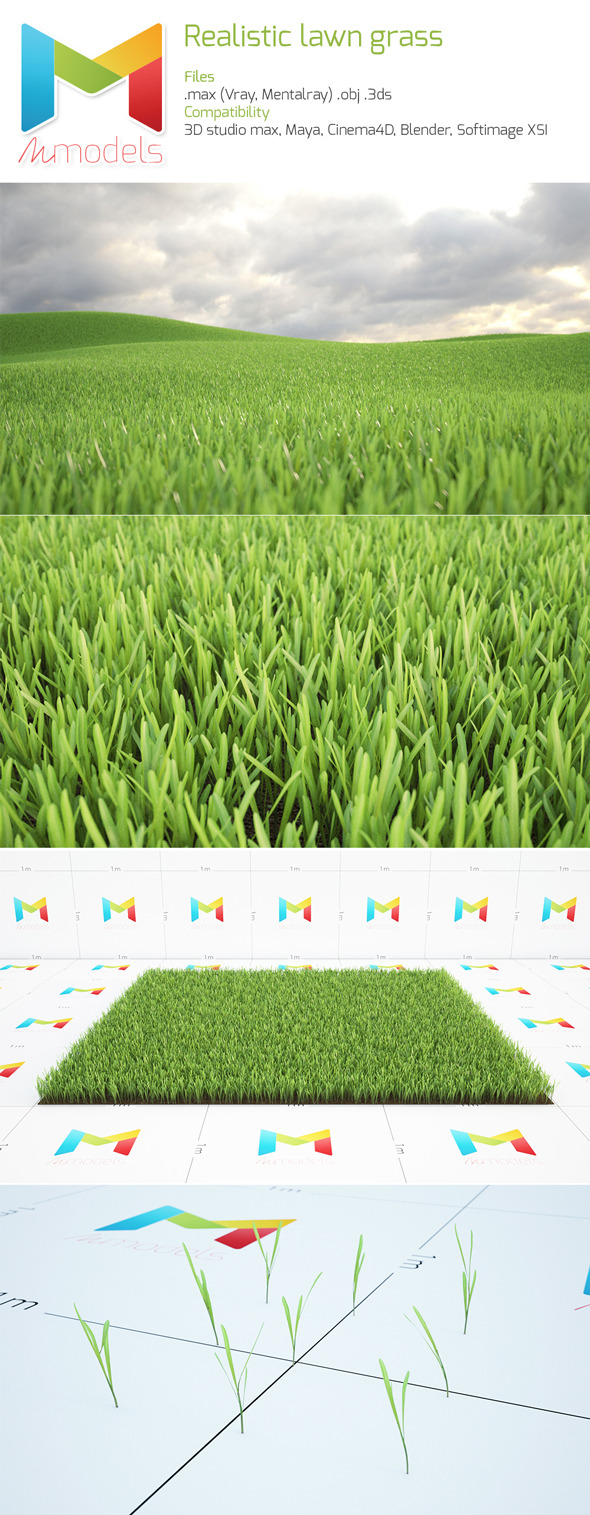 3DOcean Realistic Lawn 7955957 3DOcean Realistic Lawn 7955957