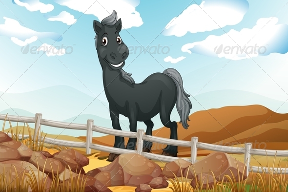 GraphicRiver Smiling Gray Horse Near a Wooden Fence 7956970 GraphicRiver Smiling Gray Horse Near a Wooden Fence 7956970
