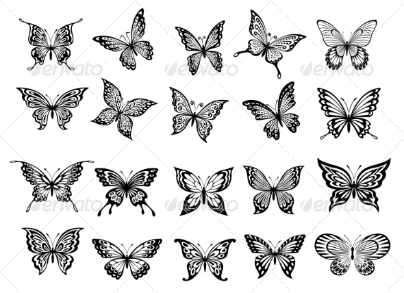 GraphicRiver Set of Twenty Butterflies 8469882 GraphicRiver Set of Twenty Butterflies 8469882