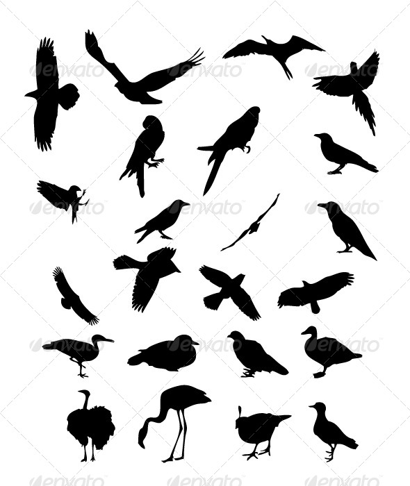 GraphicRiver Birds Silhouettes 8470107 GraphicRiver Birds Silhouettes 8470107