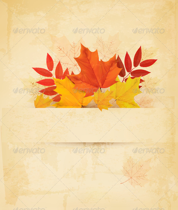 GraphicRiver Autumn Background with Leaves 8475348 GraphicRiver Autumn Background with Leaves 8475348