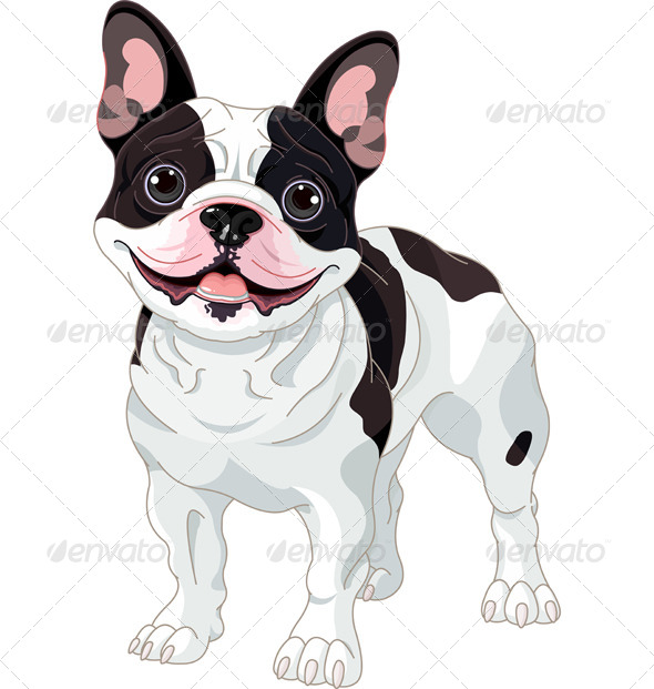GraphicRiver French Bulldog 8485288 GraphicRiver French Bulldog 8485288