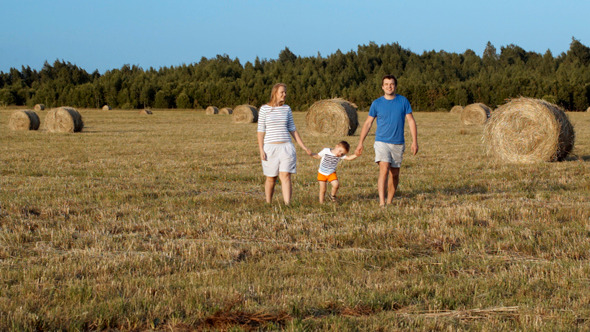 VideoHive Family Walking Holding Hands In The Field 8486699 VideoHive Family Walking Holding Hands In The Field 8486699