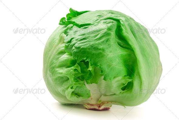 Young fresh green cabbage (Misc) Photo Download