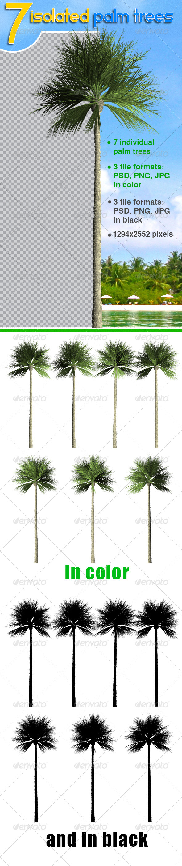 GraphicRiver Palm Trees 8504336 GraphicRiver Palm Trees 8504336