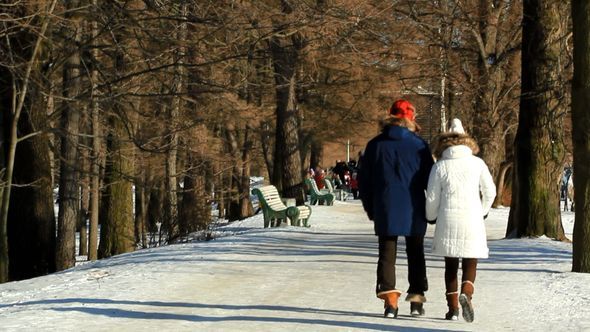 Couple Walking In The Park In Winter Couple Walking In The Park In Winter