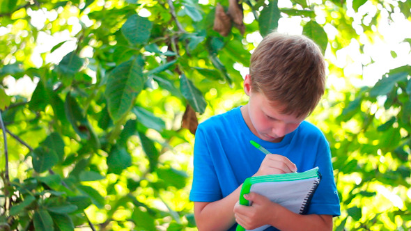 Boy Sitting On Bench Near Trees And Writing Boy Sitting On Bench Near Trees And Writing