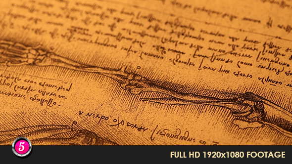 Anatomy Drawings 21 Anatomy Drawings 21
