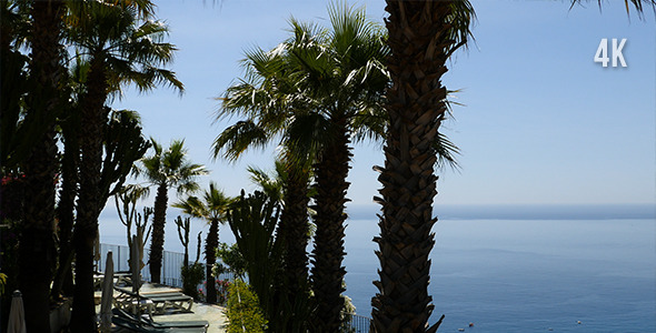 Palms And Sea Palms And Sea