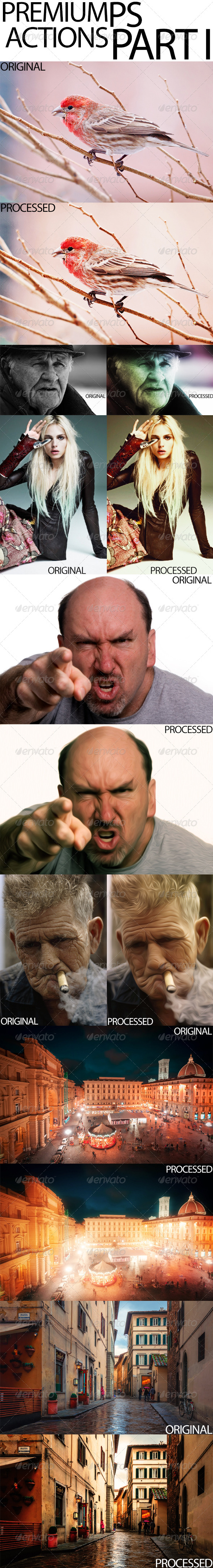GraphicRiver Premium Ps Actions Part I 8536101 GraphicRiver Premium Ps Actions Part I 8536101