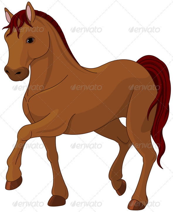 Purebred Horse Purebred Horse