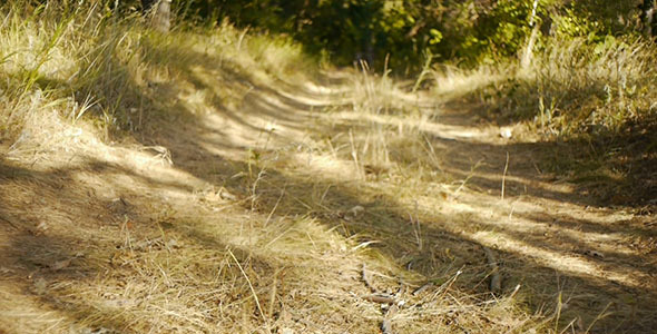 Old Country Road Old Country Road