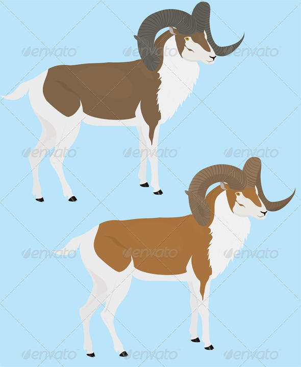 GraphicRiver Long Horn Goat 8548916 GraphicRiver Long Horn Goat 8548916