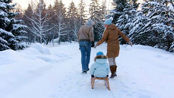 Young Parents Sledding His Child Young Parents Sledding His Child