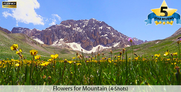 Flowers for Mountain Flowers for Mountain