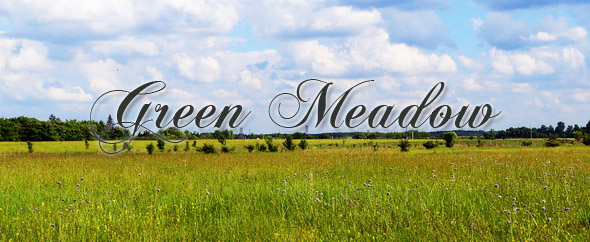 GreenMeadow