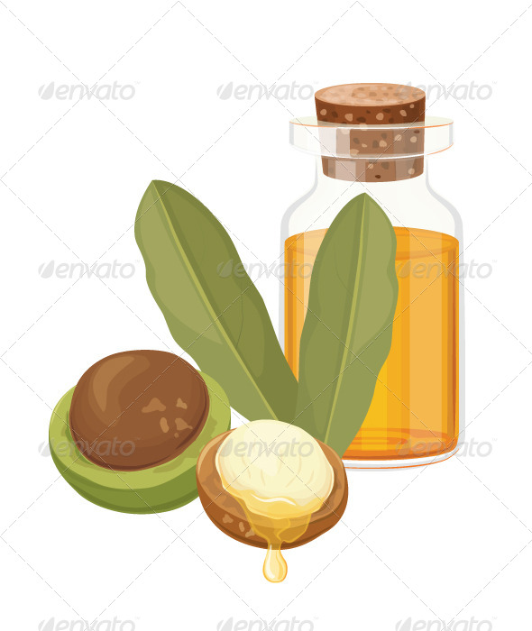 GraphicRiver Macadamia Oil Vector Illustration 8560811 GraphicRiver Macadamia Oil Vector Illustration 8560811