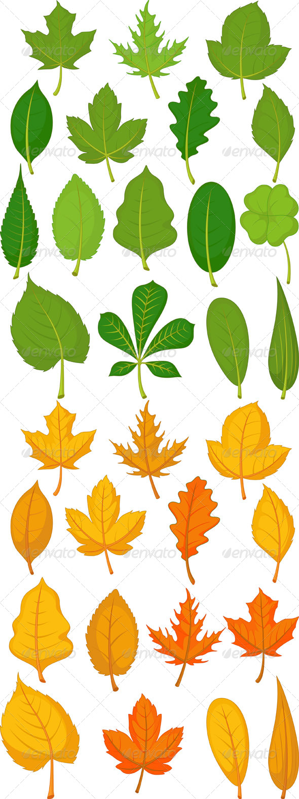 GraphicRiver Leaves Set Green and Autumn Leaves 8565407 GraphicRiver Leaves Set Green and Autumn Leaves 8565407