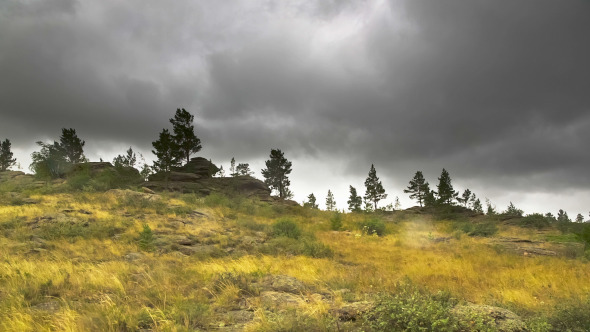 Autumn Rain in the Forest Autumn Rain in the Forest