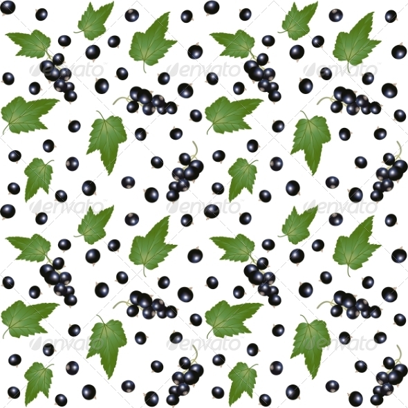 GraphicRiver Blackcurrant 8587191 GraphicRiver Blackcurrant 8587191