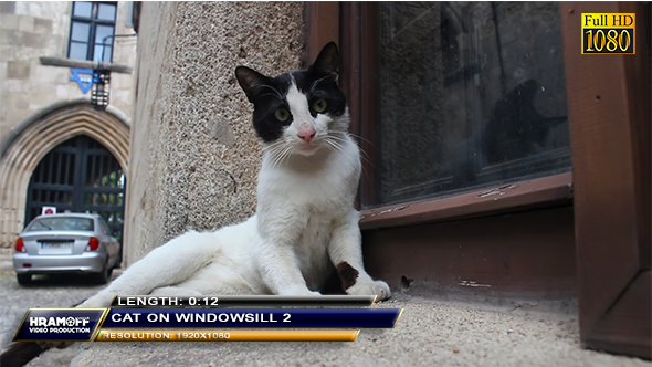 Cat On Windowsill 2 Cat On Windowsill 2
