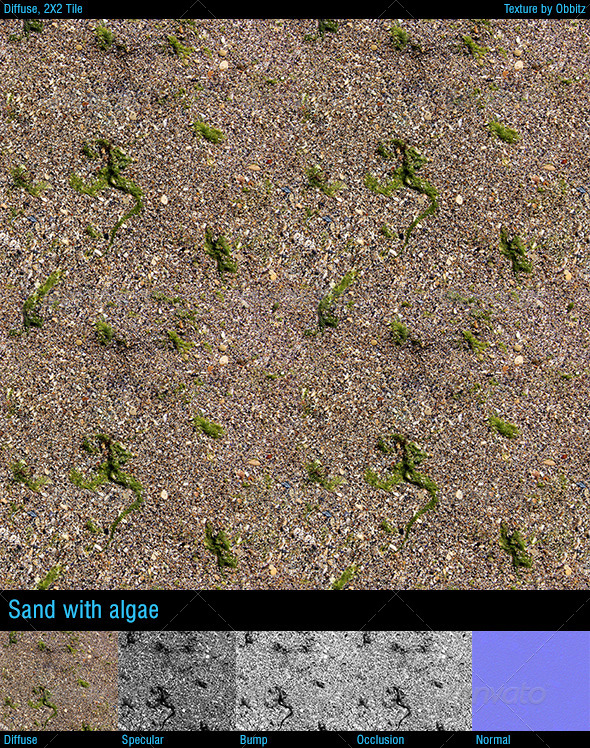 3DOcean Sand with algae 8592020 3DOcean Sand with algae 8592020