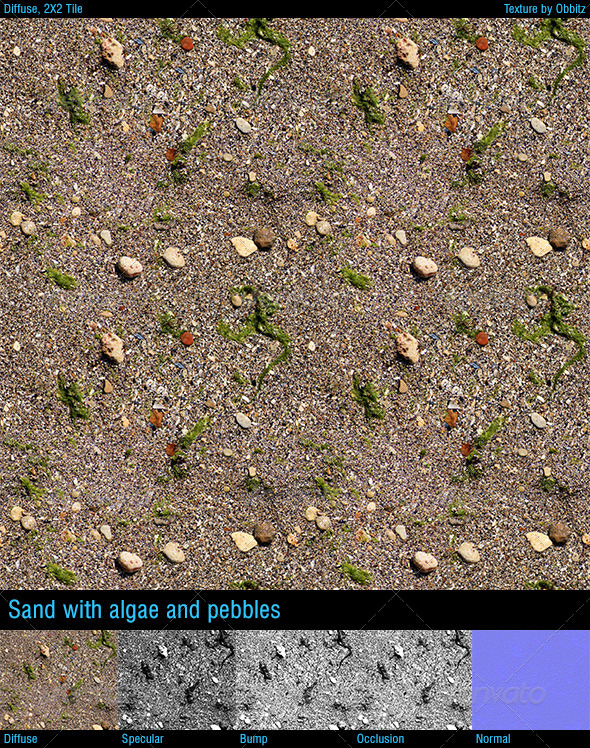 3DOcean Sand with algae and pebbles 8592281 3DOcean Sand with algae and pebbles 8592281