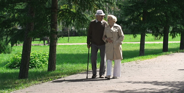 Absorbed in Each Other Absorbed in Each Other