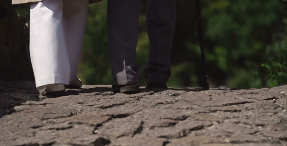 Stepping Stone to Future Stepping Stone to Future