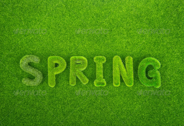 Spring word made from grass