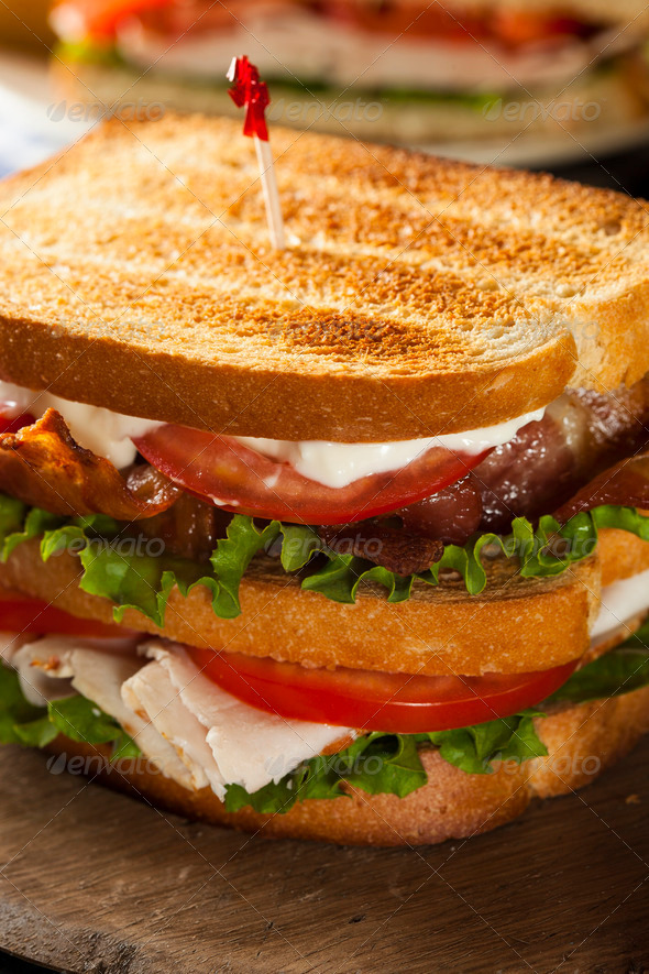 Turkey and Bacon Club Sandwich (Misc) Photo Download