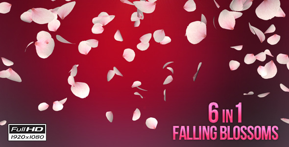 Falling Blossoms Falling Blossoms