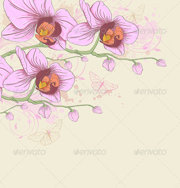 GraphicRiver Pink Orchids and Butterflies 8612004 GraphicRiver Pink Orchids and Butterflies 8612004