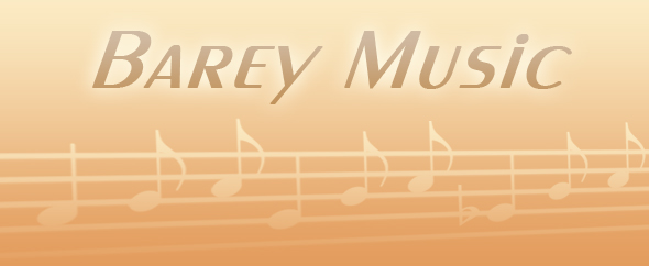Bareymusic profile 02