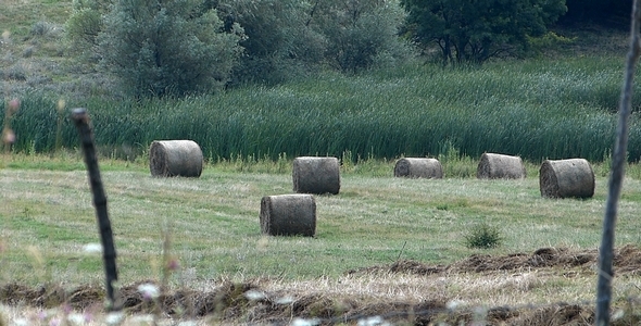 Bales Hay in Farm Field 2 Bales Hay in Farm Field 2