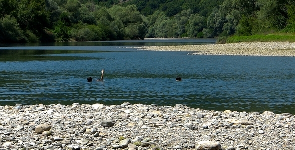 Children Bathing in the River 2 Children Bathing in the River 2