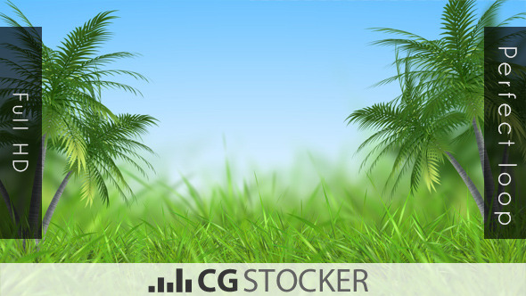 Palm Grass Scene Palm Grass Scene