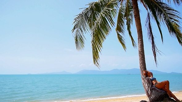 Woman Sitting on the Palm Tree Woman Sitting on the Palm Tree